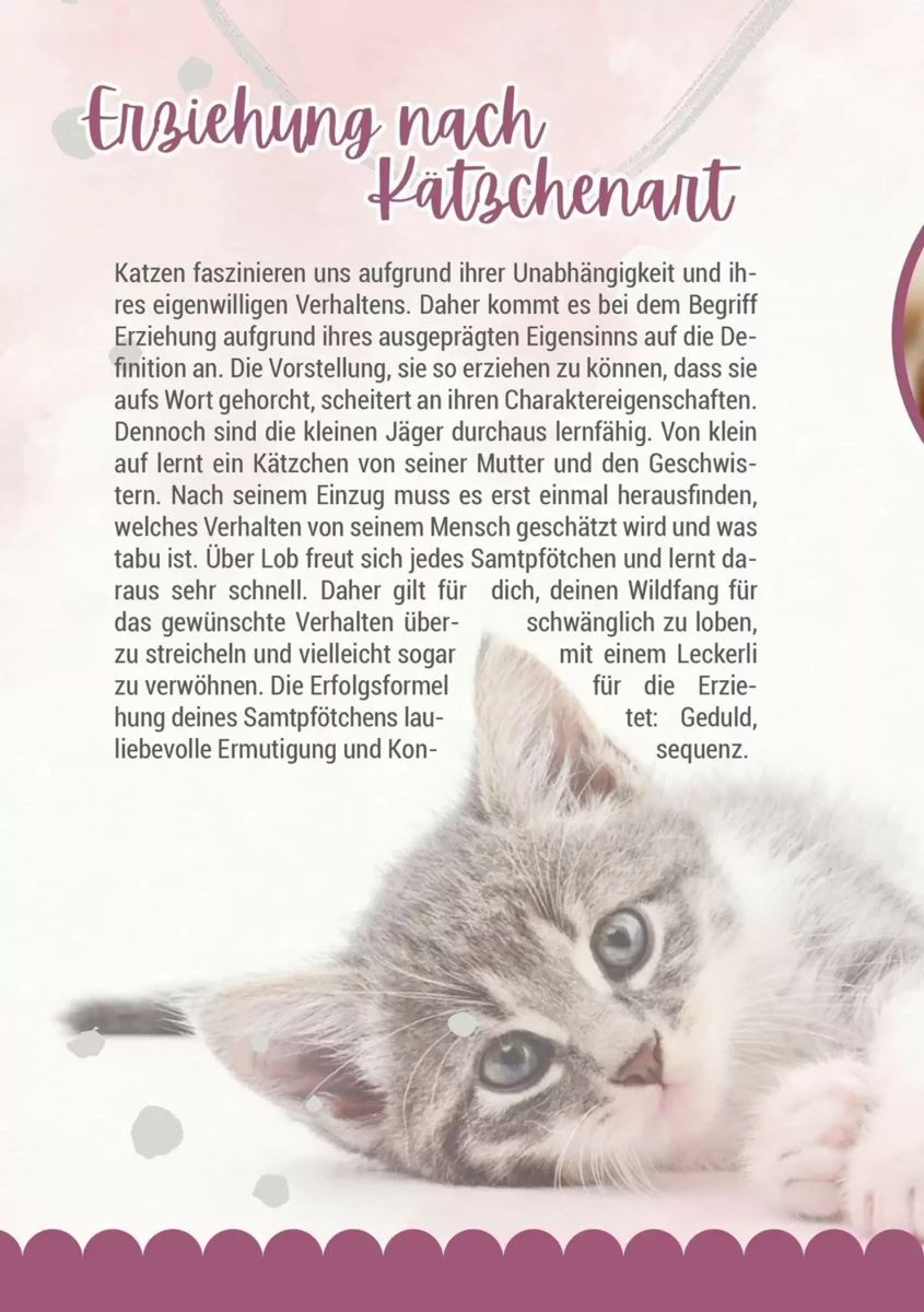 Prospekt Zookauf, Seite 12 von 16