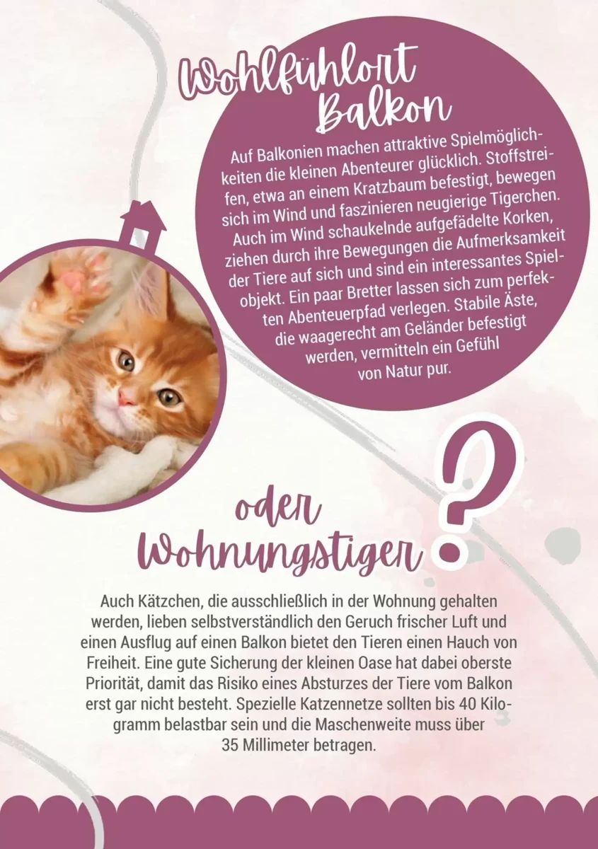 Prospekt Zookauf, Seite 15 von 16